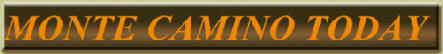 caminolink.jpg