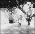 RAY AT DUNNES RIVER FALLS   JAMAICA