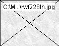 rwf228th.jpg