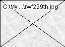 rwf229th.jpg