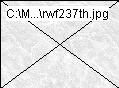 rwf237th.jpg