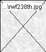 rwf238th.jpg