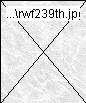 rwf239th.jpg