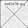 rwf247th.jpg