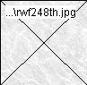 rwf248th.jpg