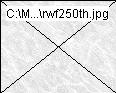 rwf250th.jpg