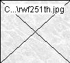 rwf251th.jpg