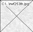 rwf253th.jpg