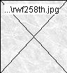 rwf258th.jpg
