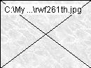 rwf261th.jpg