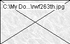 rwf263th.jpg