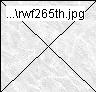rwf265th.jpg