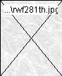 rwf281th.jpg
