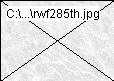 rwf285th.jpg