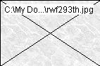 rwf293th.jpg