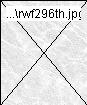 rwf296th.jpg