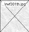rwf301th.jpg