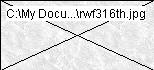 rwf316th.jpg