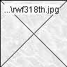 rwf318th.jpg