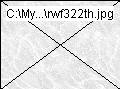 rwf322th.jpg