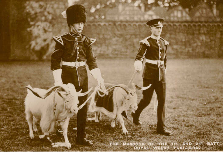 TIDWORTH TATTOO