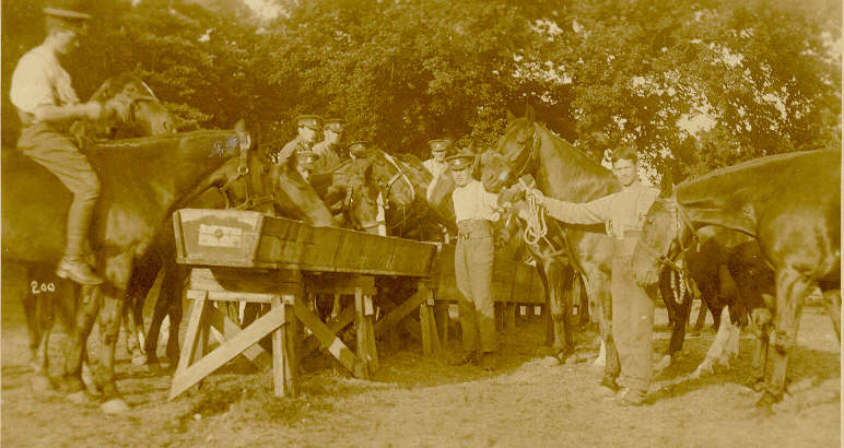 MONTGOMERYSHIRE IMP. YEOMANRY, HOLT PARK 1915