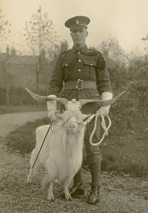 R.W.F. MASCOT