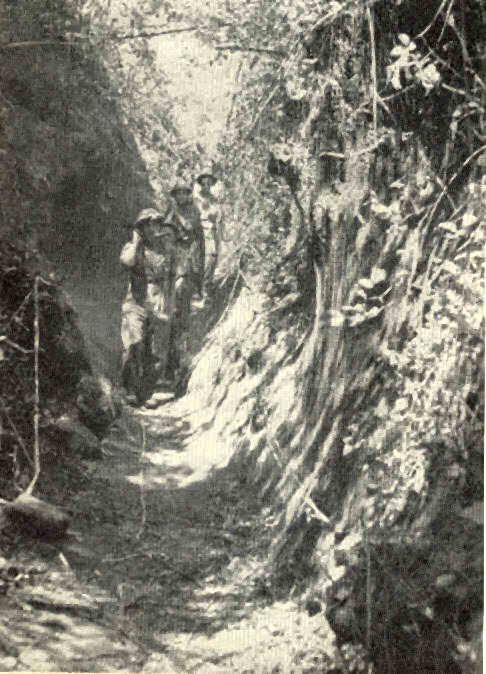 WADIS