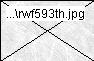 rwf593th.jpg