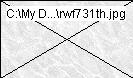 rwf731th.jpg