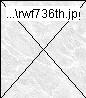 rwf736th.jpg