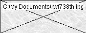 rwf738th.jpg