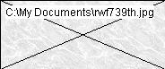 rwf739th.jpg
