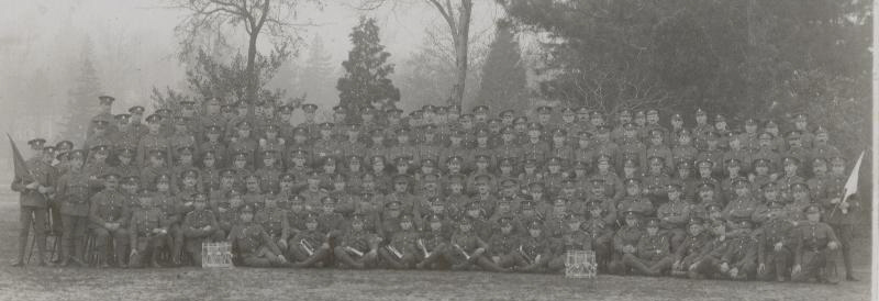 rwf877t.jpg
