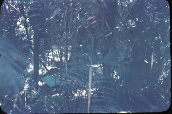 AFTER A PATROL