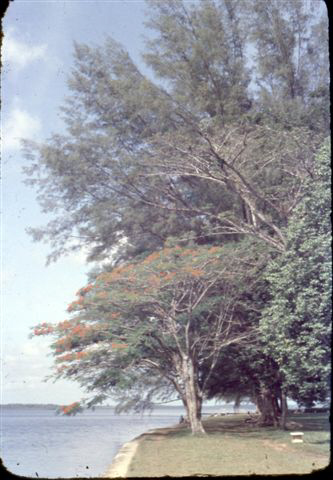 JAHORE BAHN COAST ROAD