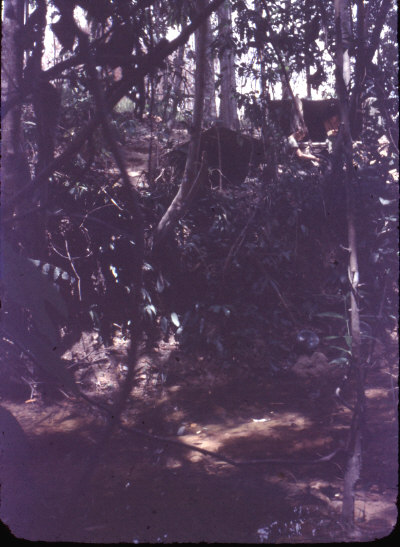 LAST OP, OUR CAMP WITH S.E.P.