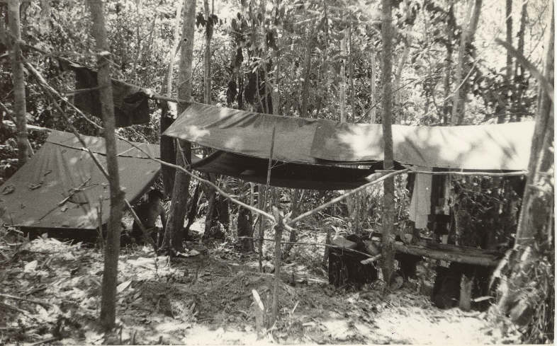 CAMP